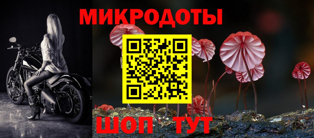 Геленджик  Псилоцибиновые грибы Magic Shrooms  Вход с VPN 